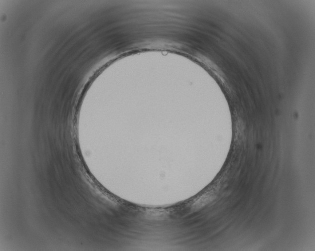 X0000081420848200702092132