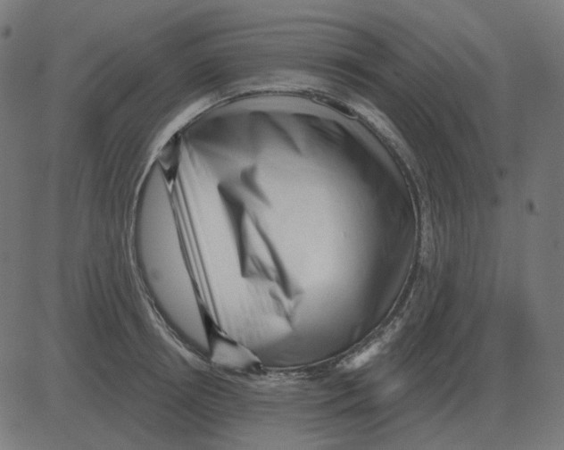 X0000081420850200702092132