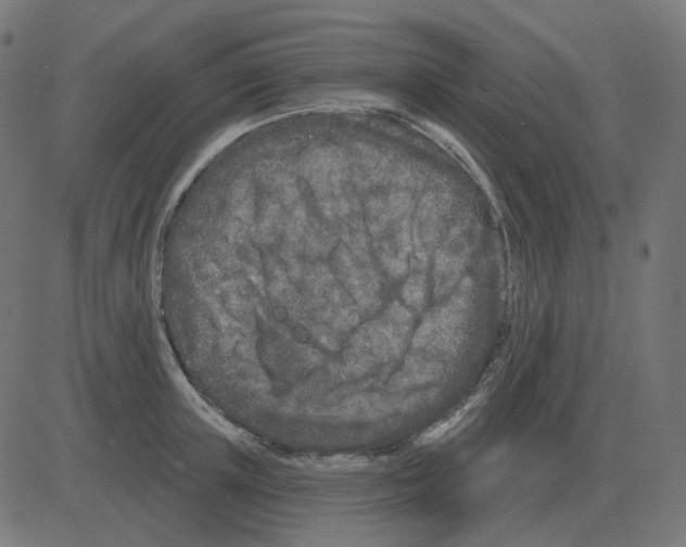 X0000081420851200702092132