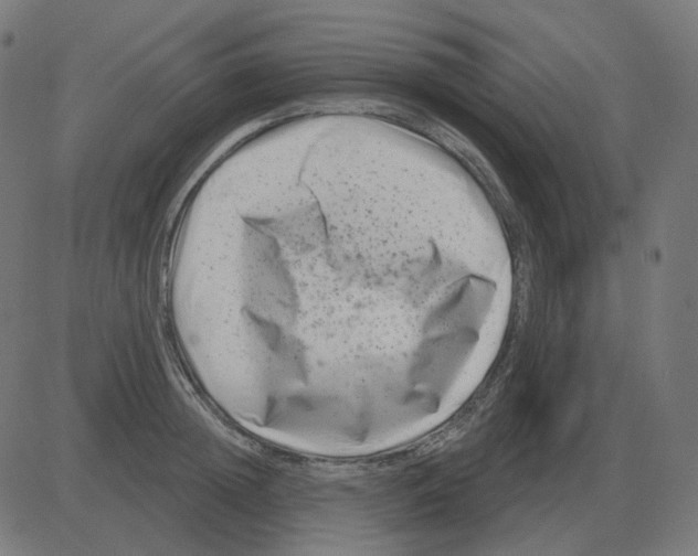 X0000081420852200702092132