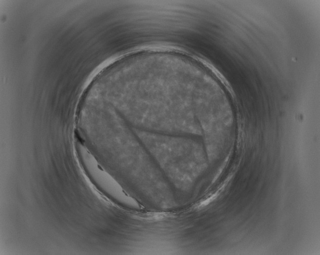 X0000081420853200702092132