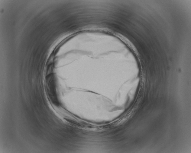 X0000081420855200702092132