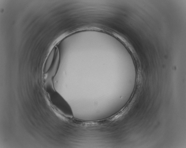 X0000081420858200702092132