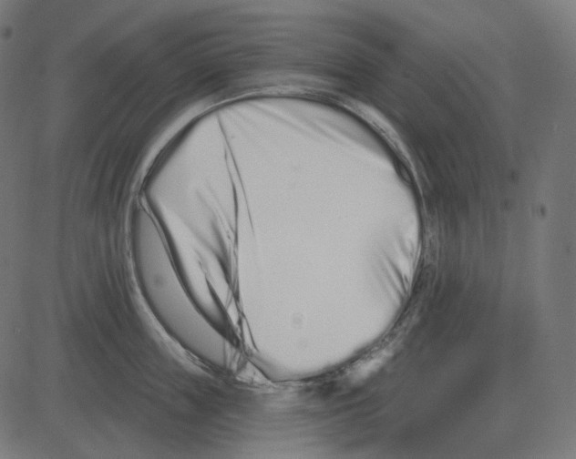 X0000081420859200702092132