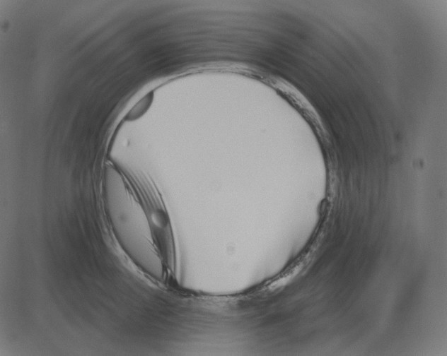 X0000081420860200702092132