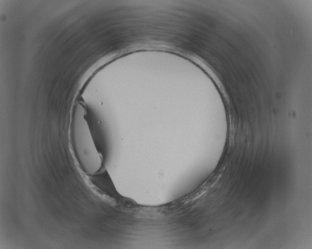 X0000081420861200702092132