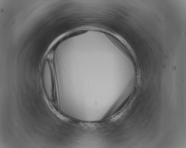 X0000081420862200702092132