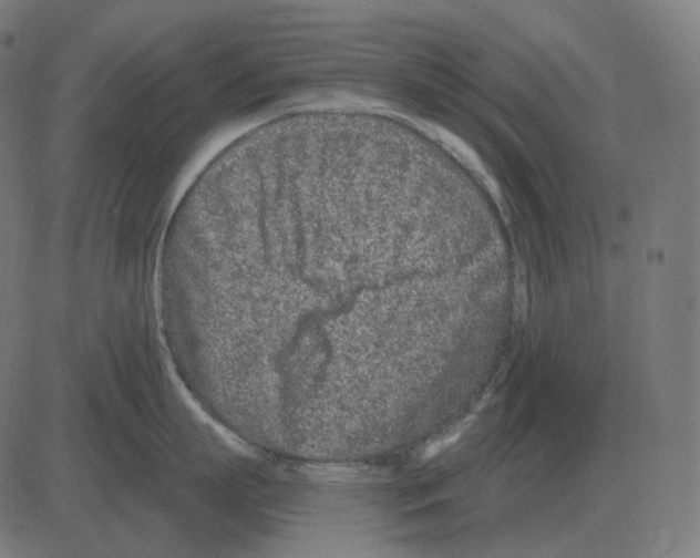 X0000081420863200702092132