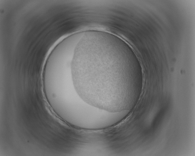 X0000081420864200702092132