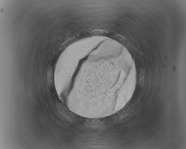 X0000081420866200702092131