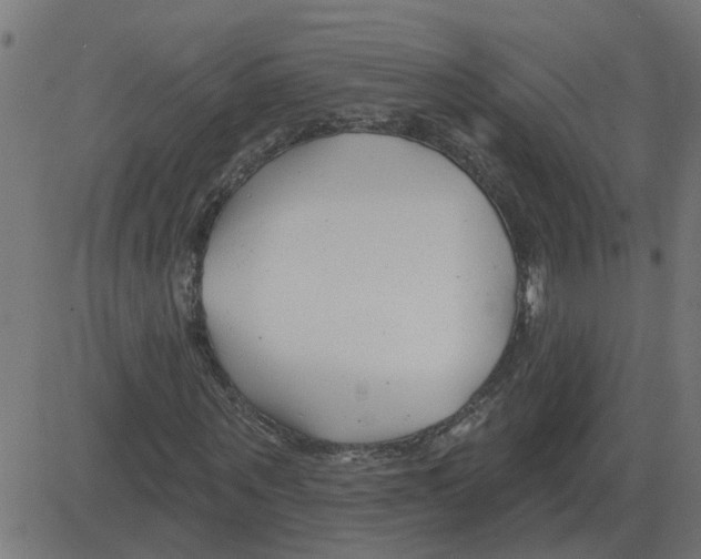 X0000081420867200702092131