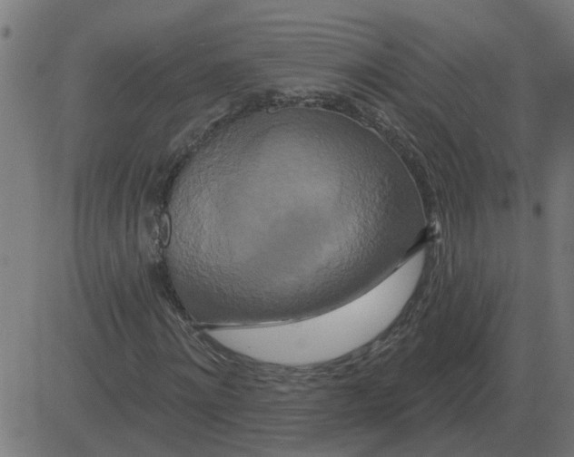 X0000081420868200702092131