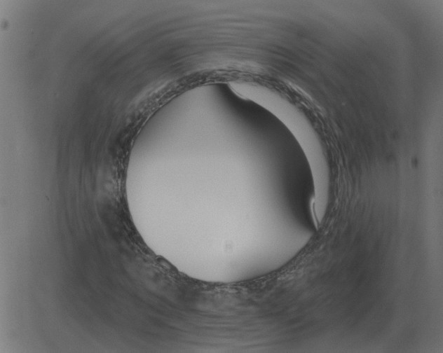 X0000081420869200702092131