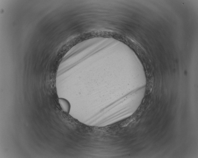 X0000081420870200702092131