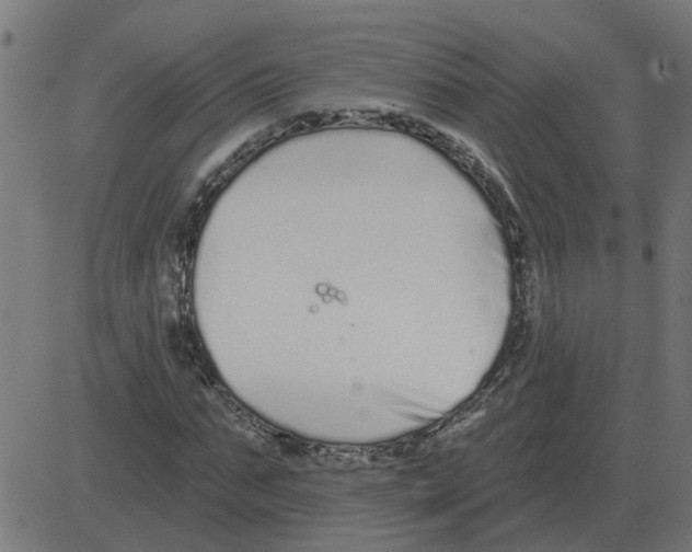 X0000081420871200702092131