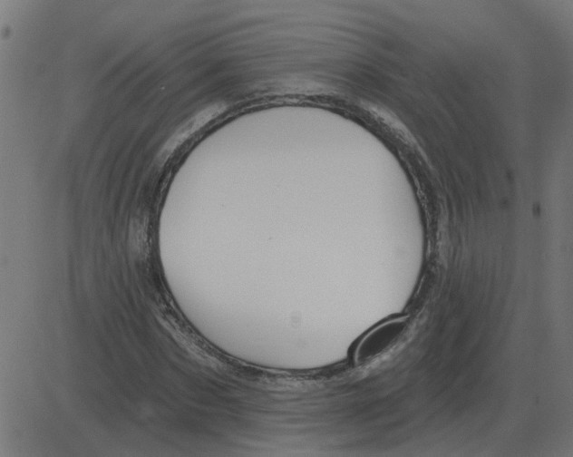 X0000081420873200702092131