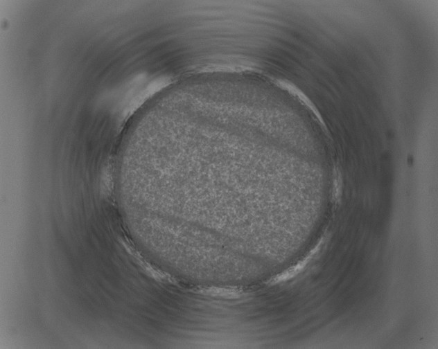 X0000081420874200702092131