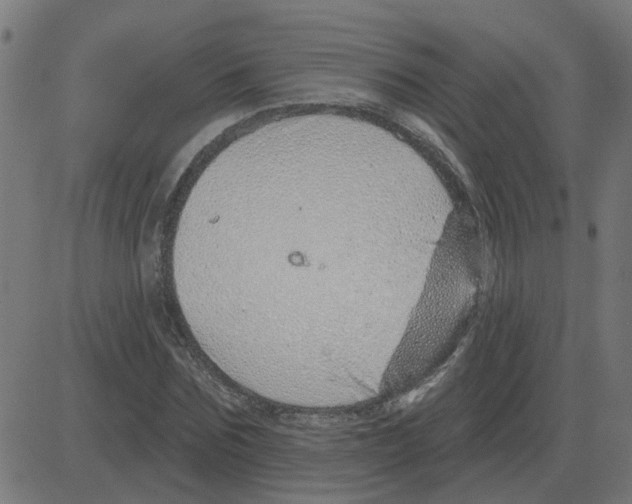 X0000081420875200702092131