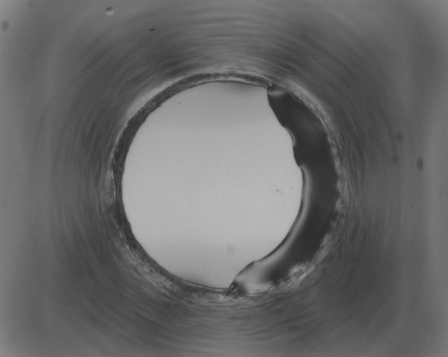 X0000081420876200702092131