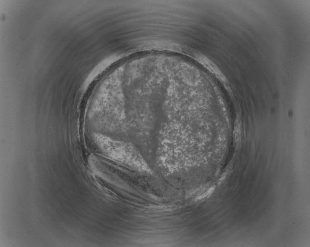 X0000081420877200702092131