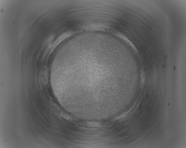 X0000081420878200702092131