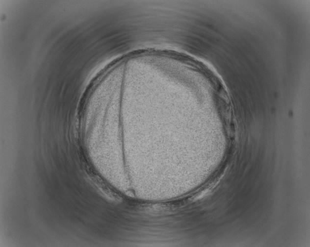 X0000081420879200702092131