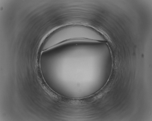 X0000081420880200702092131