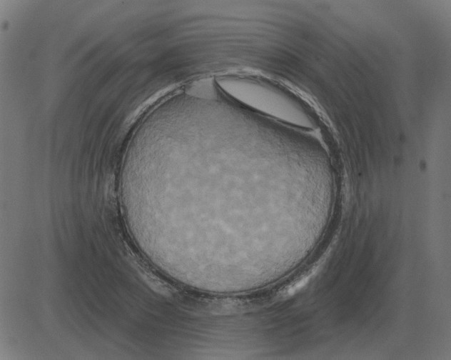 X0000081420881200702092131