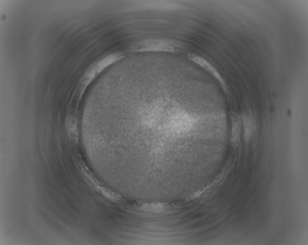 X0000081420882200702092131