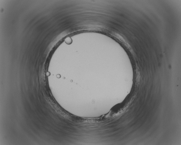 X0000081420883200702092131