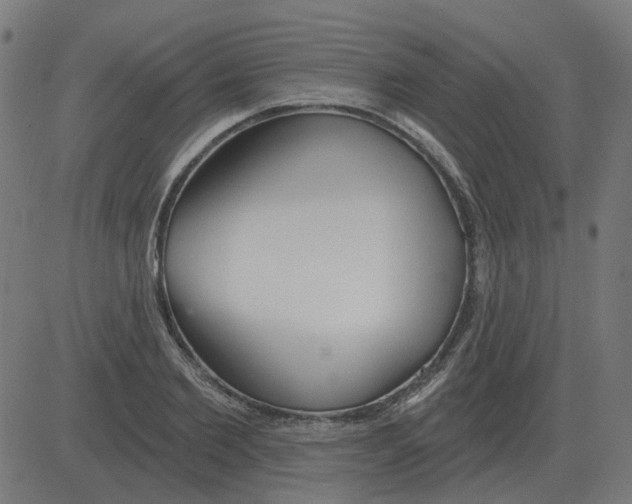 X0000081420885200702092131