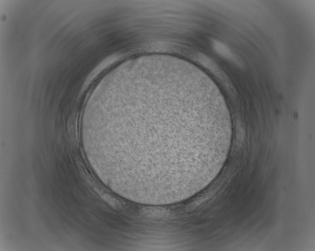 X0000081420886200702092131