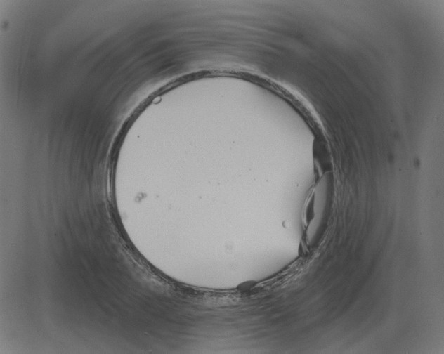 X0000081420887200702092131