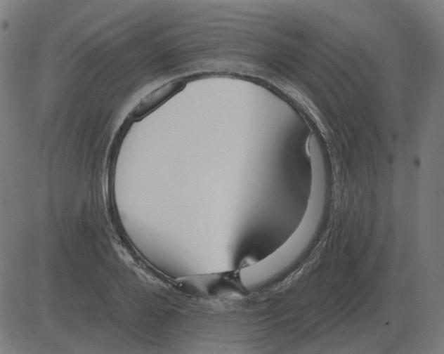 X0000081420888200702092131