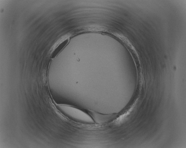 X0000081420889200702092131