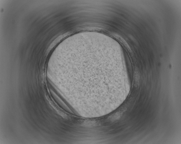 X0000081420890200702092131