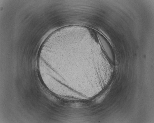 X0000081420891200702092131