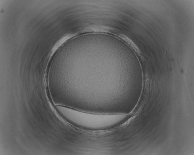 X0000081420893200702092131