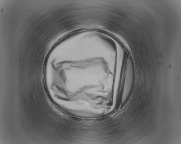 X0000081420895200702092131