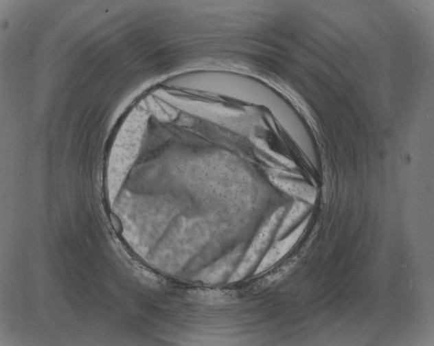 X0000081420896200702092131