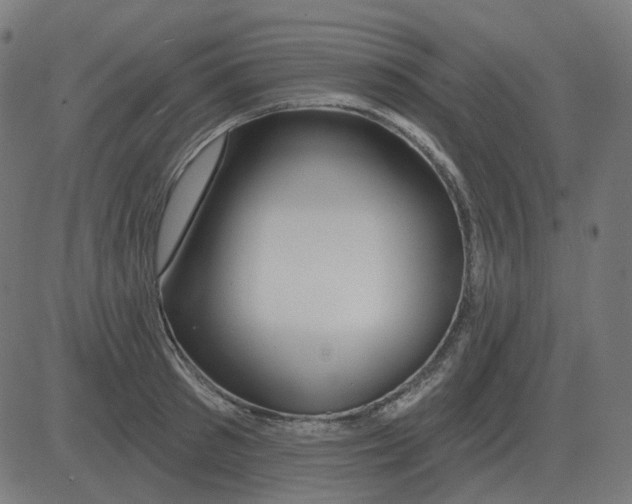 X0000081420897200702092131