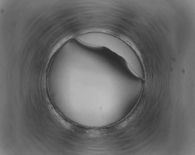 X0000081420898200702092131