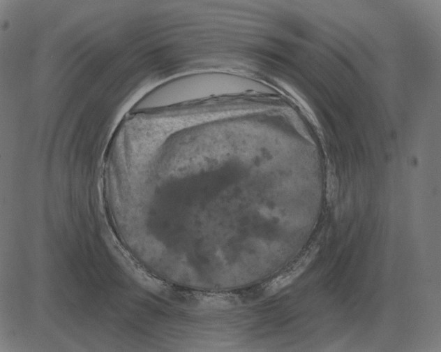 X0000081420899200702092131