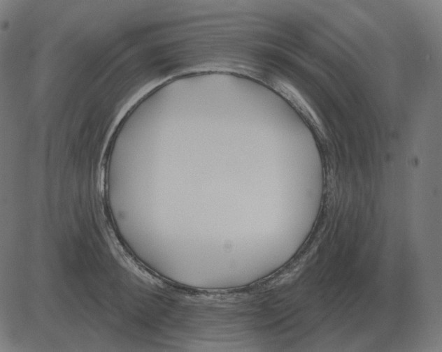 X0000081420900200702092131