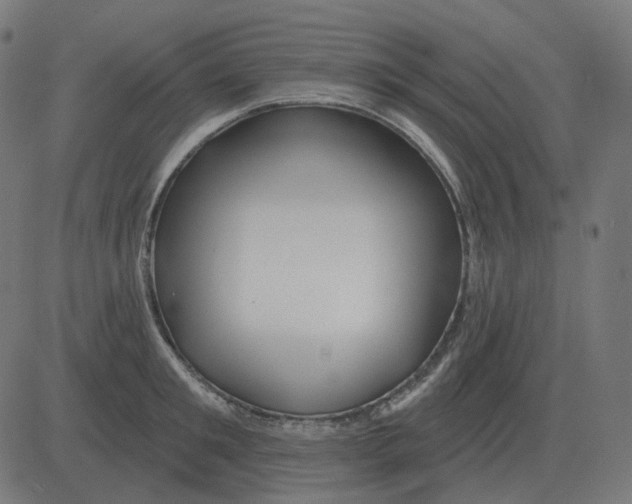 X0000081420901200702092131