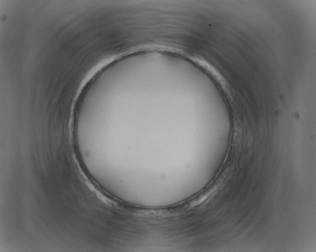 X0000081420902200702092131