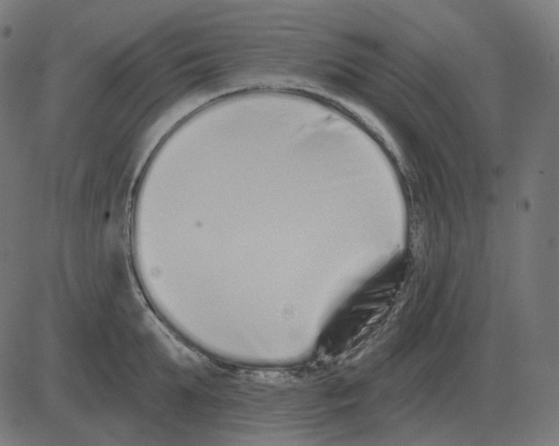 X0000081420903200702092131