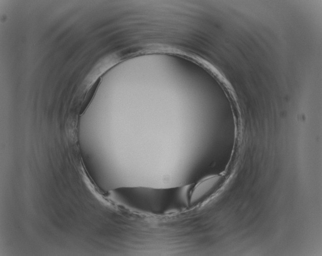 X0000081420905200702092131