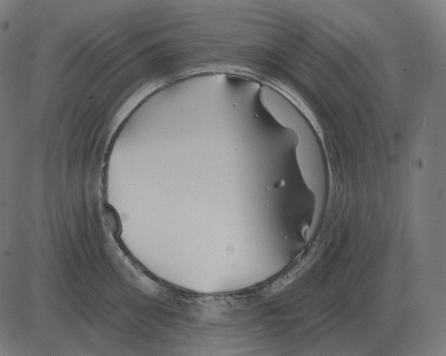 X0000081420906200702092131