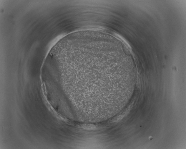 X0000081420907200702092131